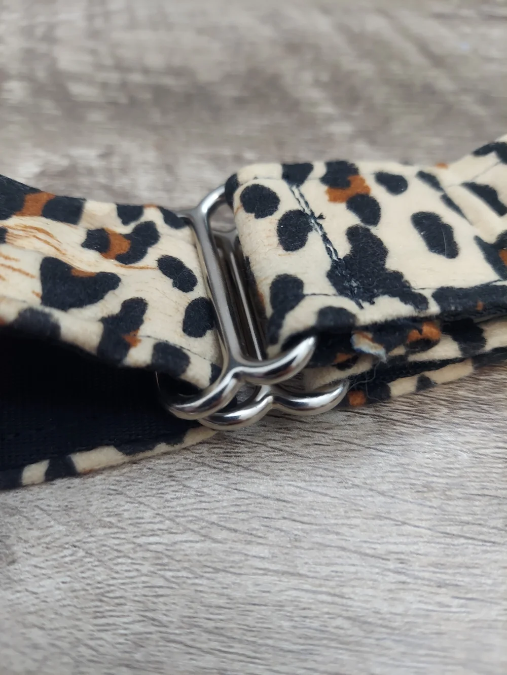 N/A leopard animal